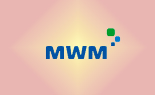 ✓ MWM 1304579 Реле стартера 